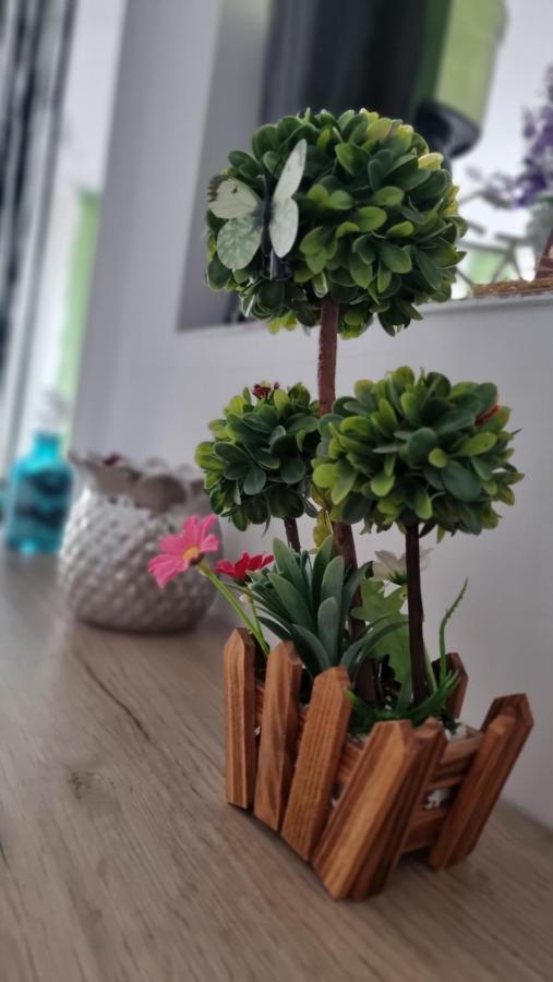 Apartament Daria Năvodari المظهر الخارجي الصورة
